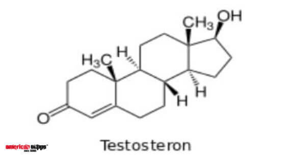 Testosteron - Testosteron