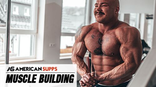 Sports Nutrition Muscle Building