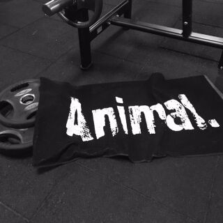 Universal Nutrition Animal Gym Towel 49cm x 100cm Sporthandtuch 