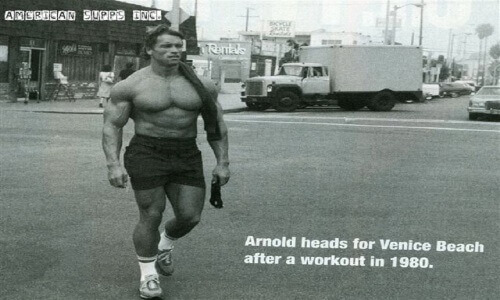 Arnold Schwarzenegger vegan kein fleisch