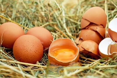 Paleo Lebensmittel Eier