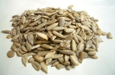Paleo Lebensmittel Samen und Kerne