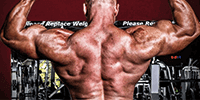Construction Musculaire