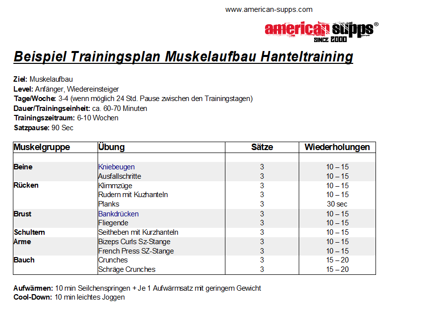 Hanteltraining Trainingsplan PDF